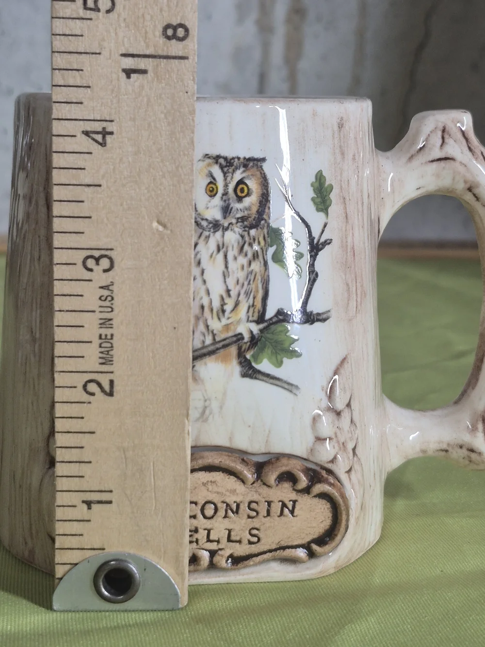 Owl Ceramic Mug - Wisconsin  Dells